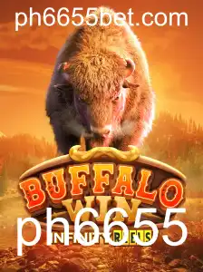 Explorando o Fascinante Mundo de BuffaloWin